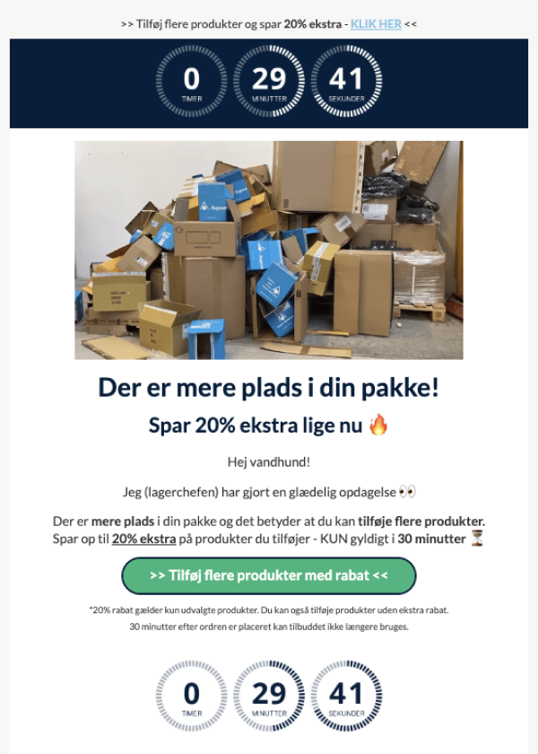 Post-purchase email template example