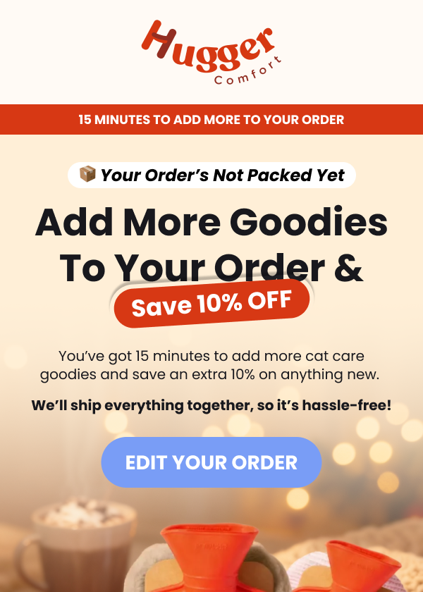 Post-purchase email template example