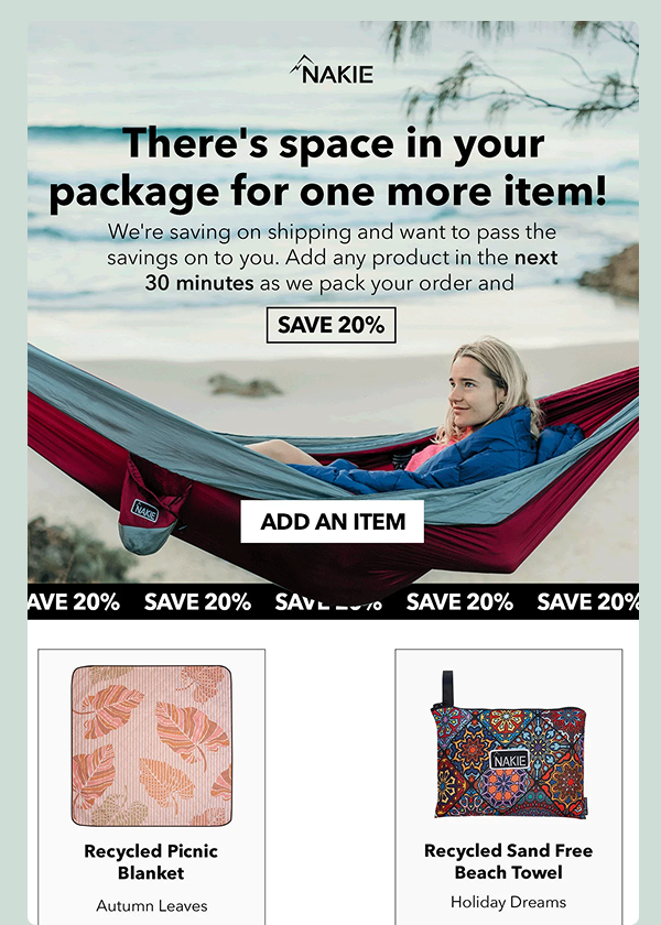 Post-purchase email template example